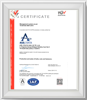 ISO 9001